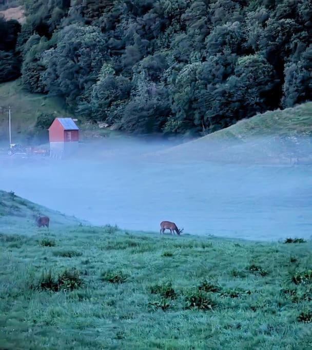 Apartment Countryside Experience In A Cozy Loft Near Bergen Frekhaug