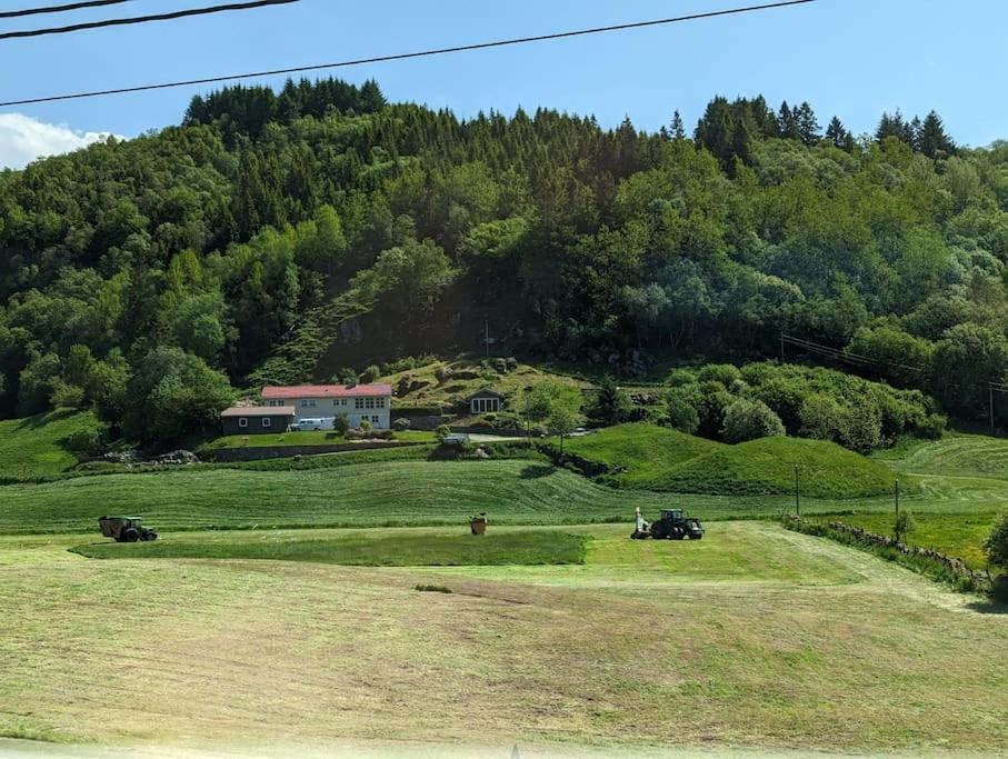Countryside Experience In A Cozy Loft Near Bergen * Frekhaug