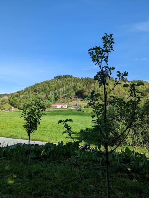 Countryside Experience In A Cozy Loft Near Bergen Apartment *